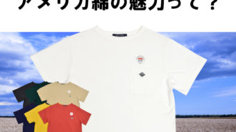 USA COTTON シリーズ のご紹介