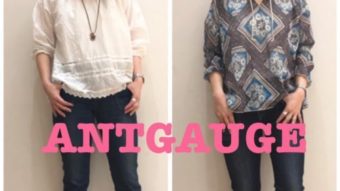 待望の入荷！【ANTGAUGE／アントゲージ】特集♪