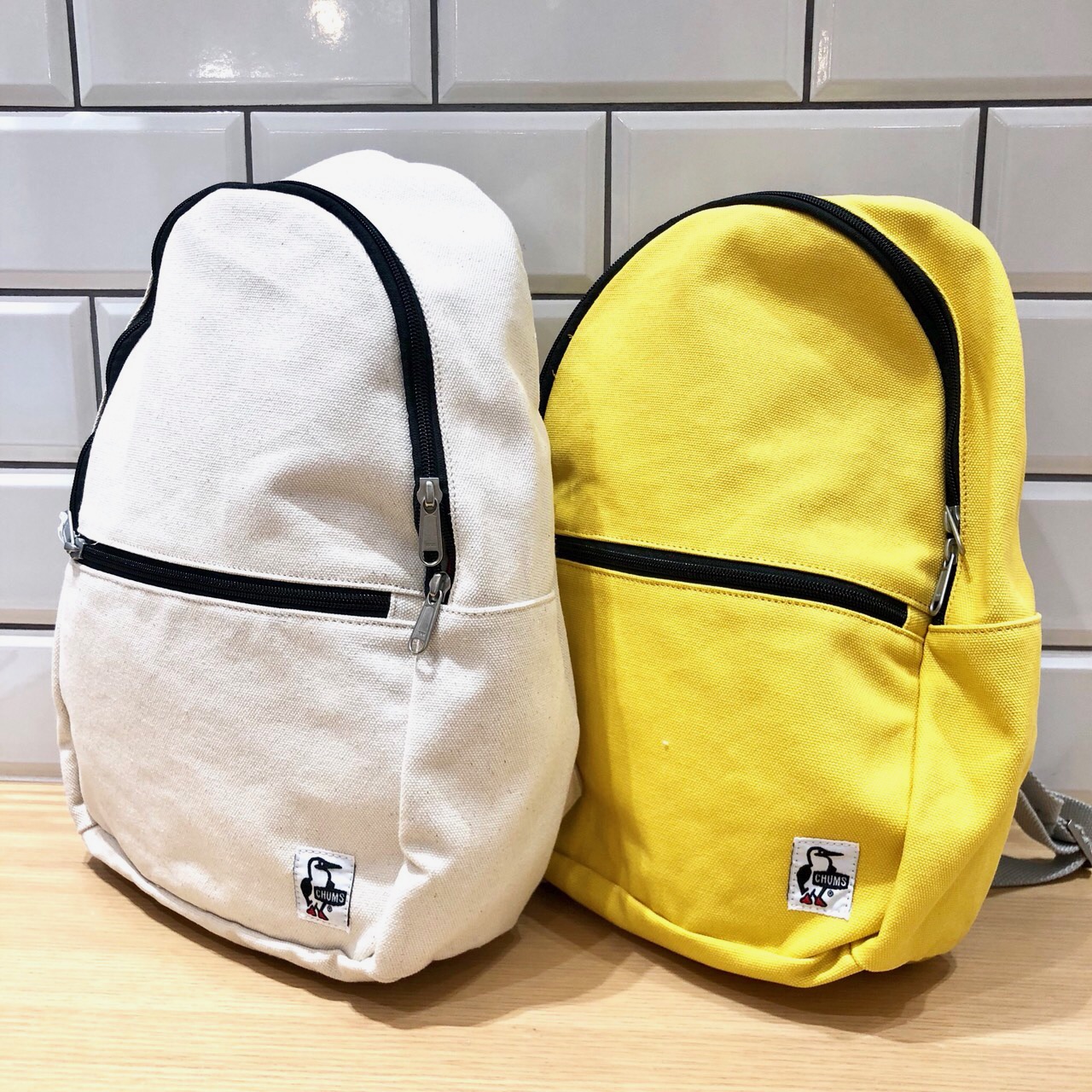 【新品】チャムスEscalante Pill Day Pack （リュック)