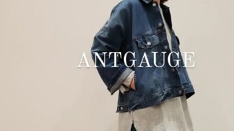 【リメイクGジャン × ANTGAUGE】