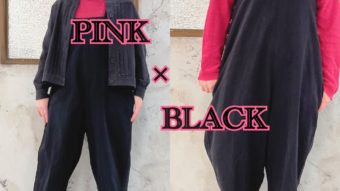 PINKをプラスして気分は春気分?*･