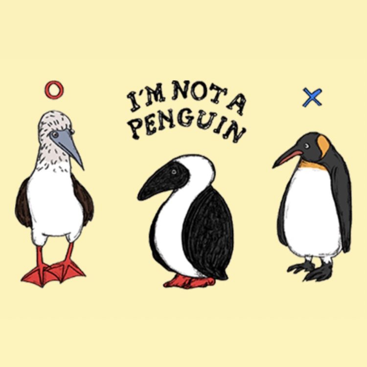 Chums チャムス 特集 By西山 バーニッシュカンパニーブログ