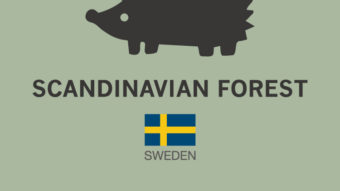 SCANDINAVIAN FOREST POP UP EVENT 本日スタート！！！！