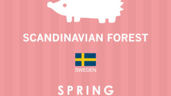 SCANDINAVIAN FOREST 🌸spring collection🌸