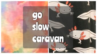 スタッフイチオシ！新作go slow caravan！