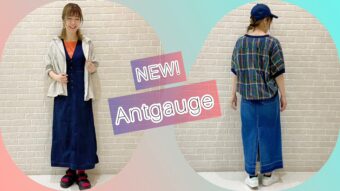 NEW！！Antgauge入荷しました✨！！