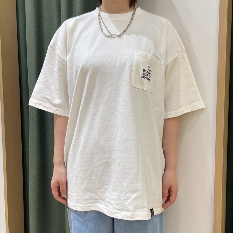 S__249585680_0