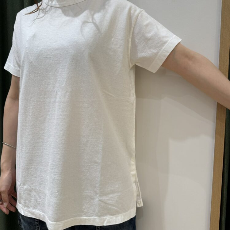S__291864606_0