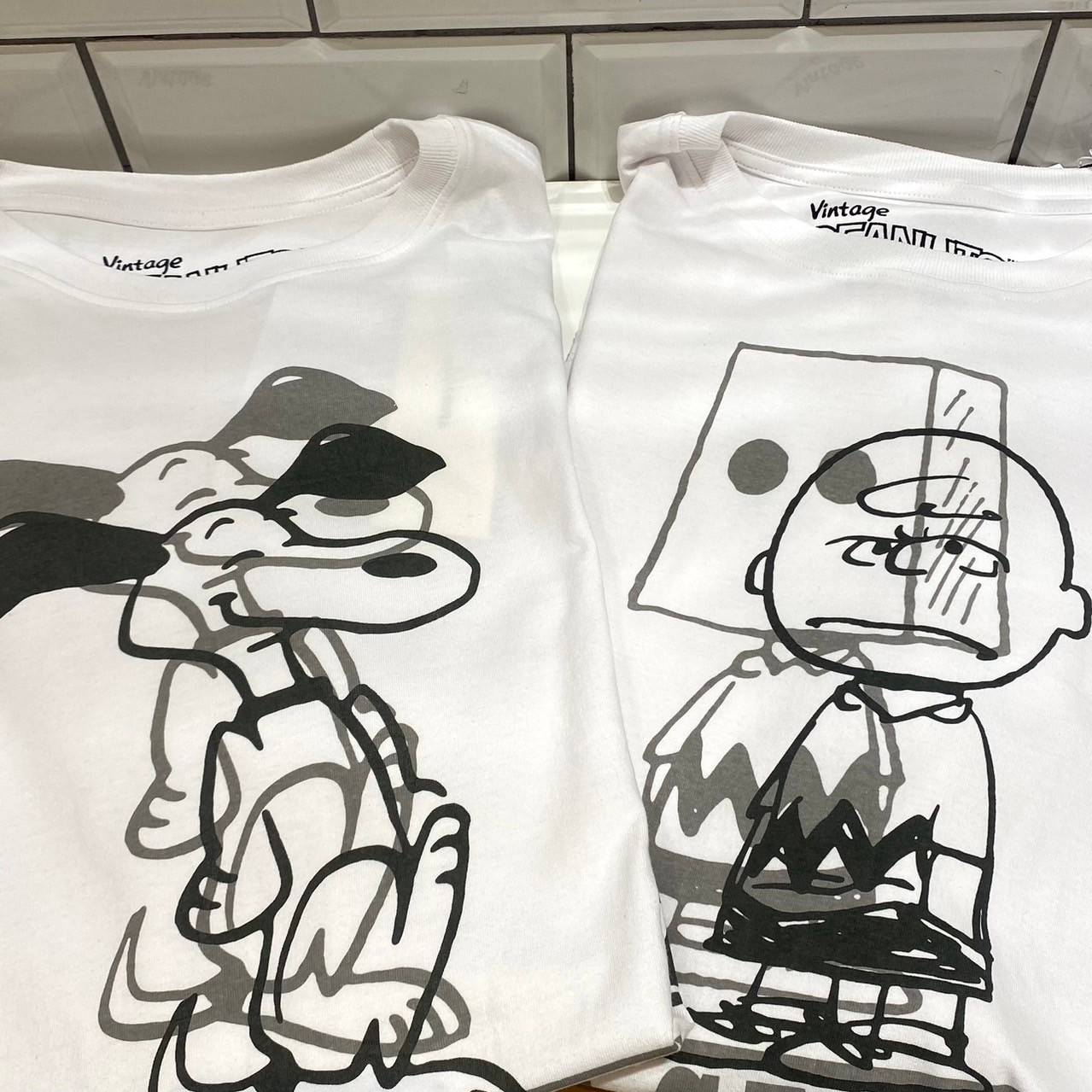 LINE_ALBUM_71ブログ_240701_2