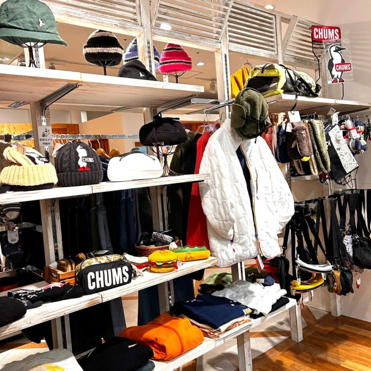 LINE_ALBUM_加藤ブログ_241112_44