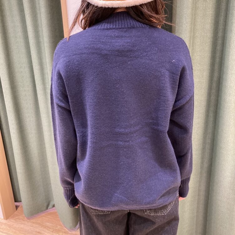 S__227737677_0