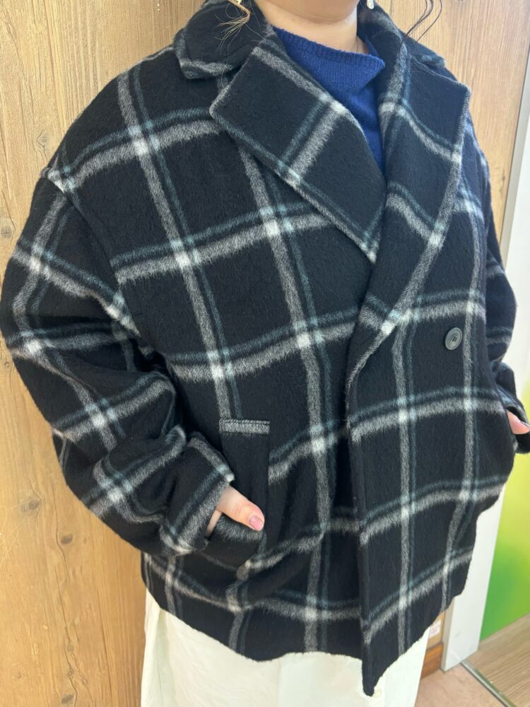 sato120303