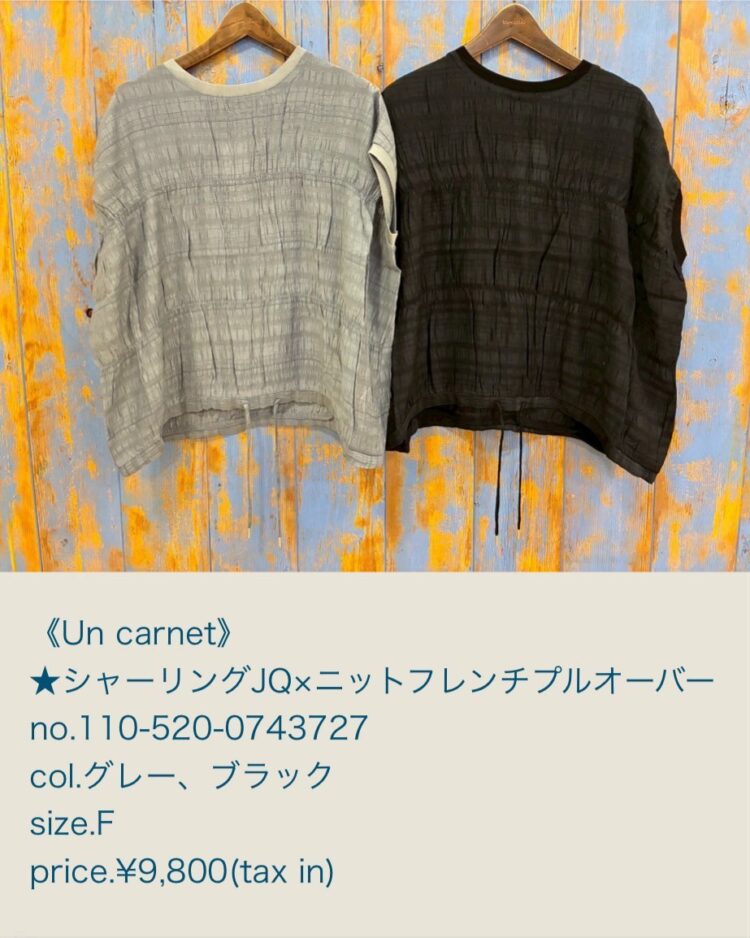 LINE_ALBUM_7月5日用ブログ記事画像_250703_17