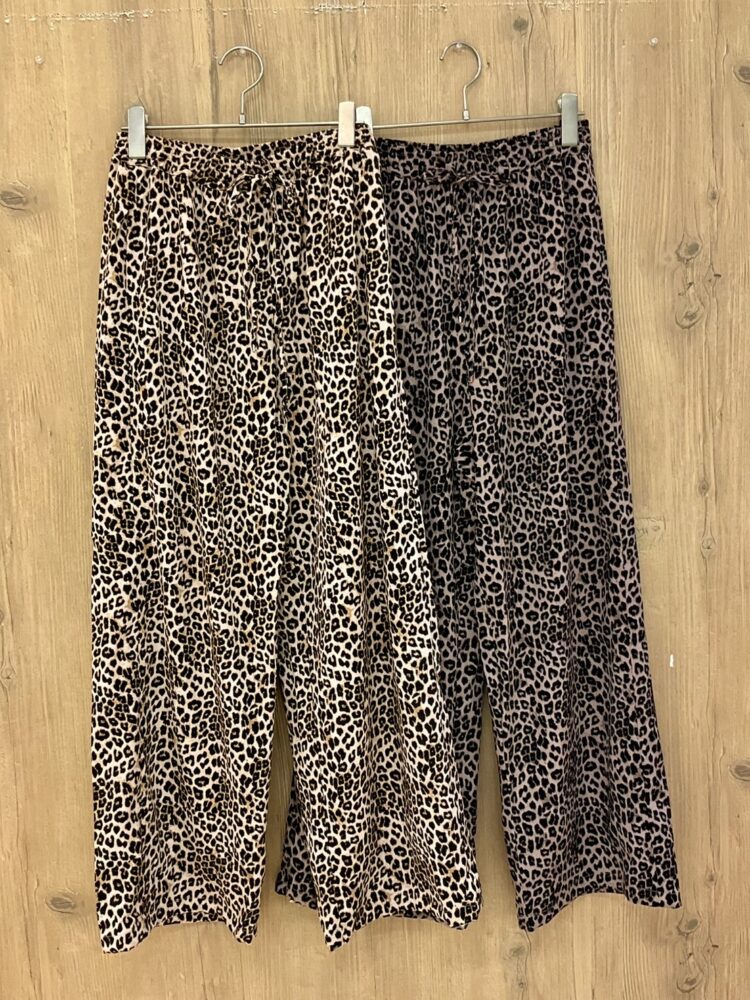 S__103678002