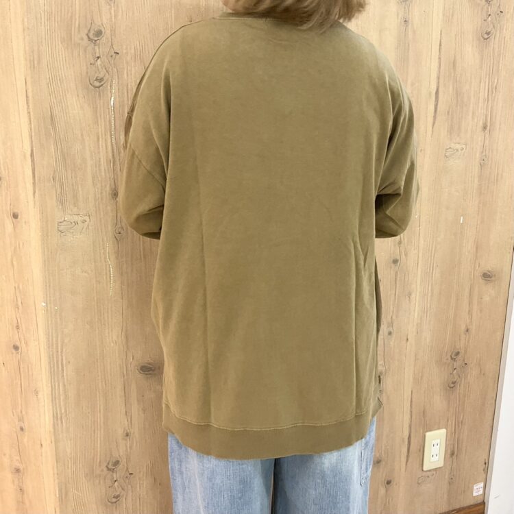 S__104767493_0