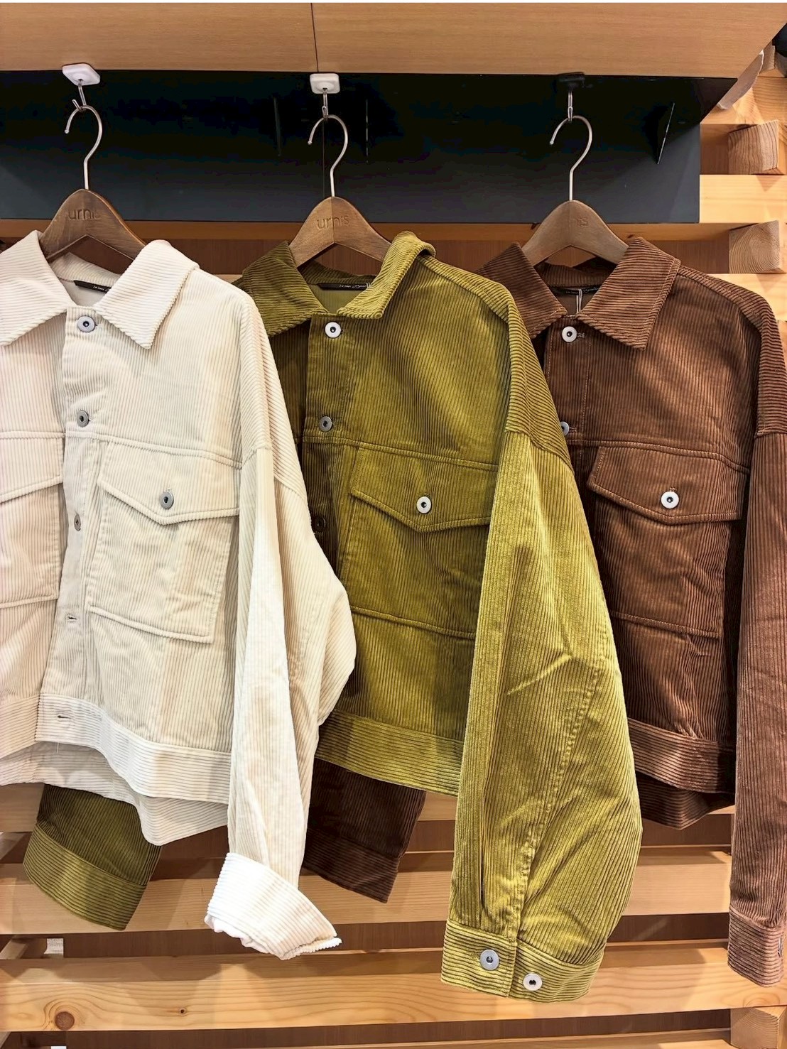 LINE_ALBUM_102ブログ_251002_6