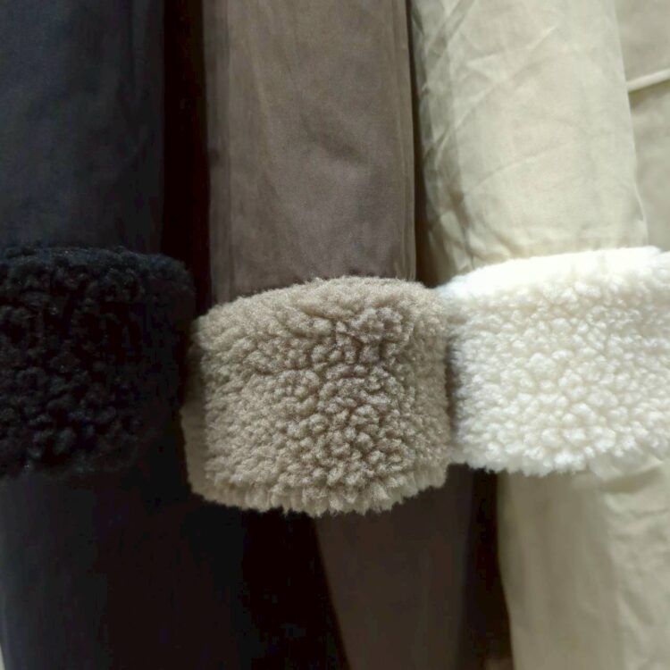 LINE_ALBUM_安藤ブログ用_251025_4