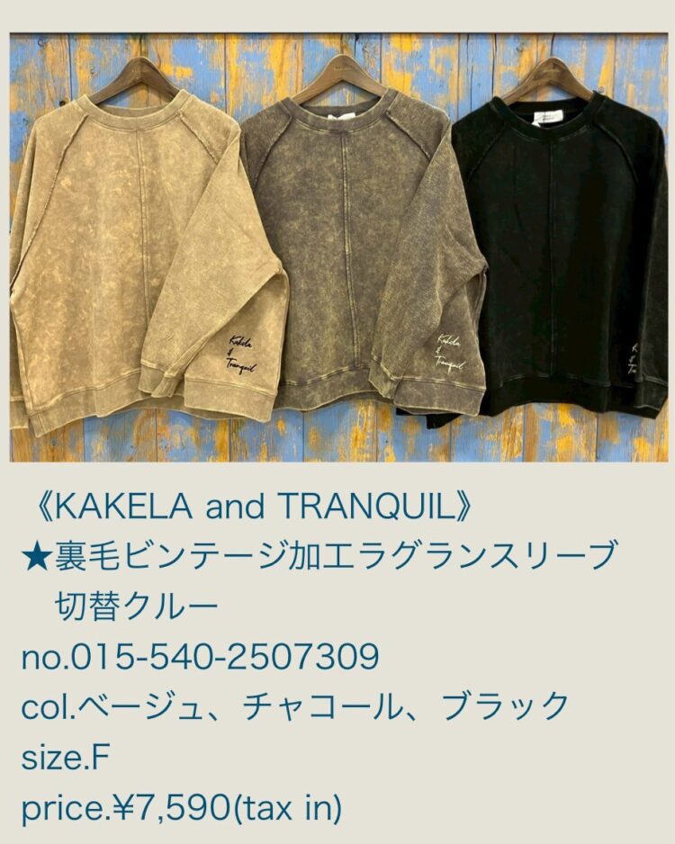 LINE_ALBUM_20251107_251107_24