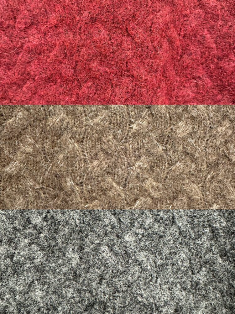 LINE_ALBUM_20251116_251116_17