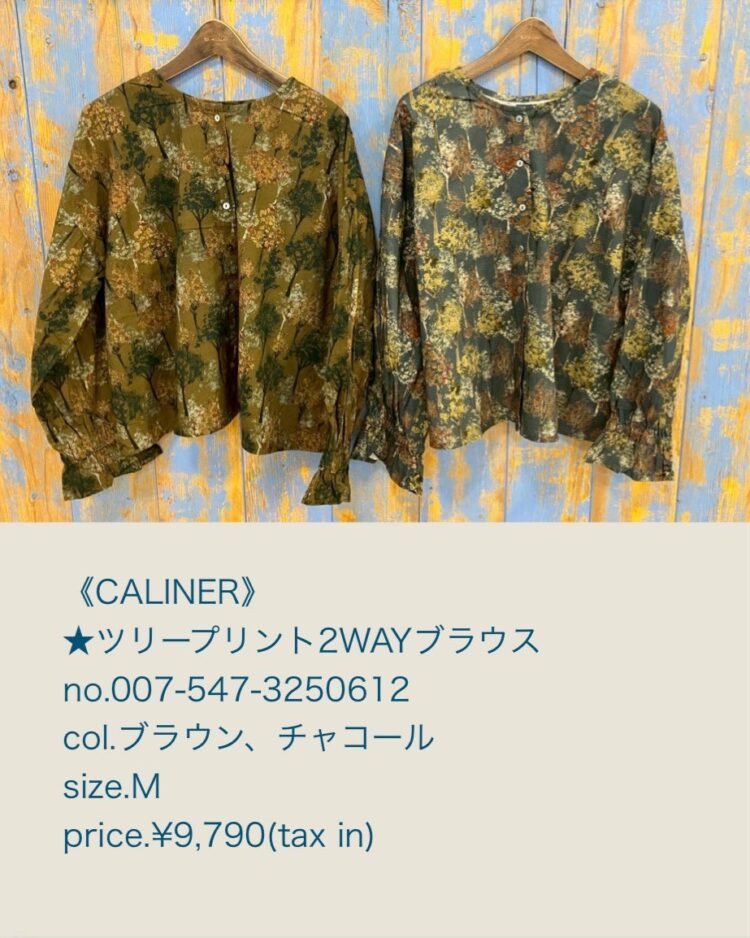 LINE_ALBUM_20251128_251128_11