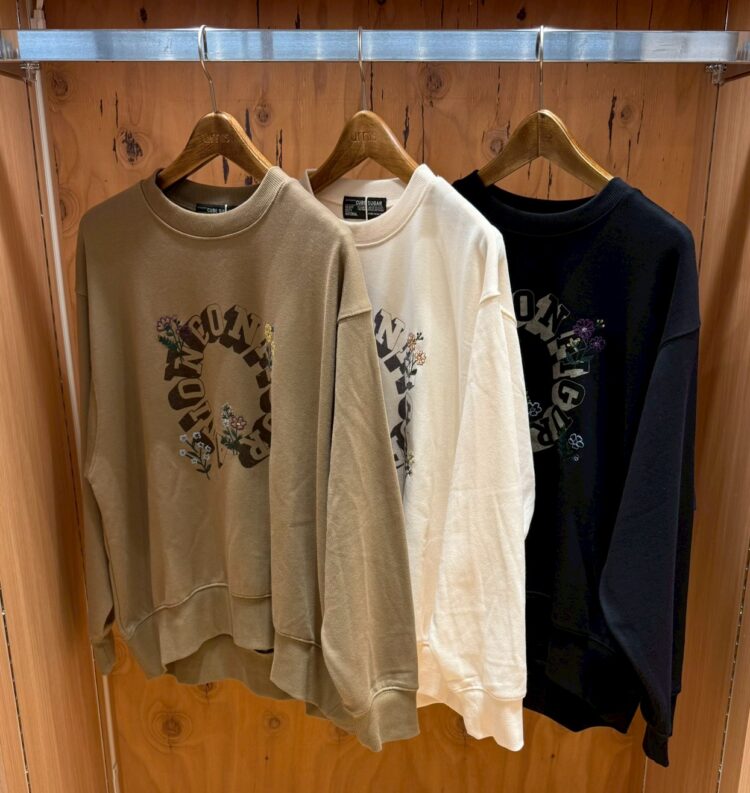 LINE_ALBUM_2025113 ブログ_251105_22