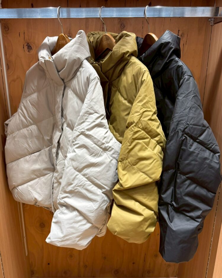 LINE_ALBUM_2025113 ブログ_251105_26