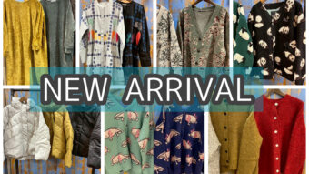 🩵今週の新作🩵