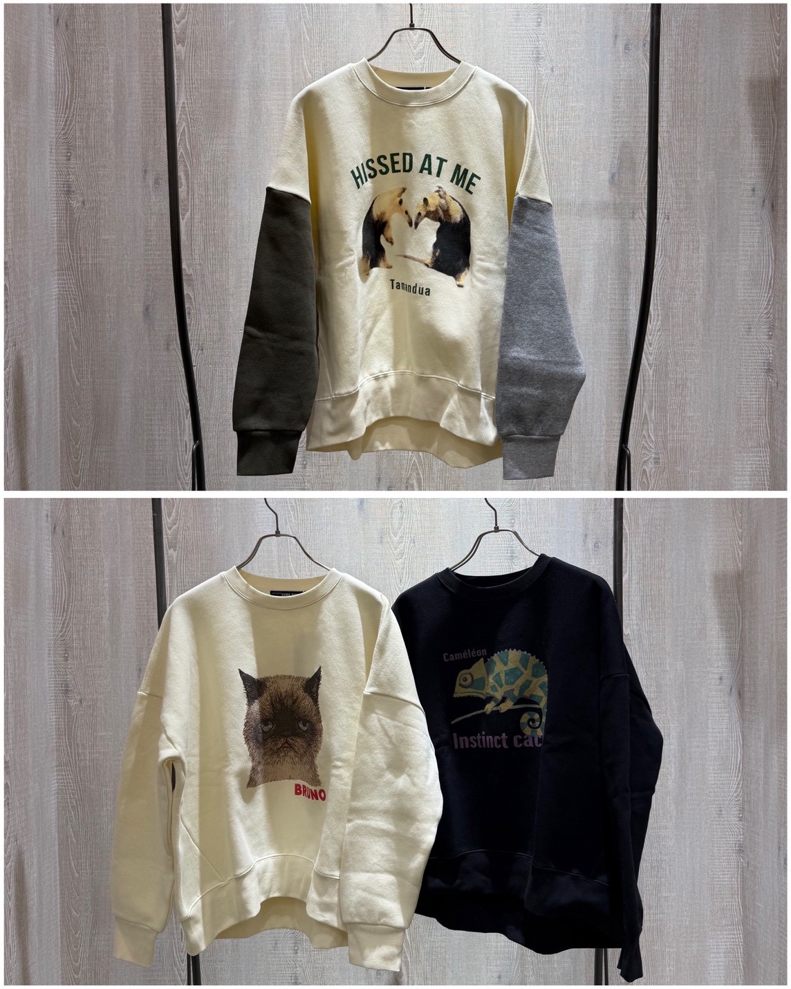 B3C6FB1B-A57F-4958-B72C-4DCB7ED688EE