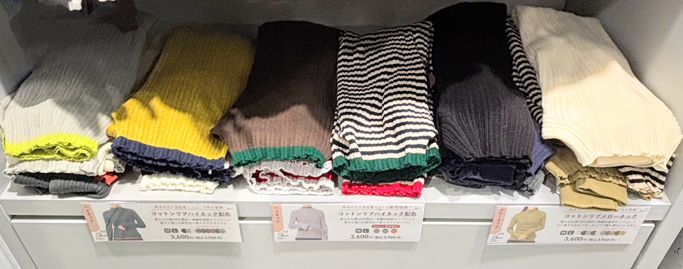 LINE_ALBUM_1219 千葉ブログ_251218_7