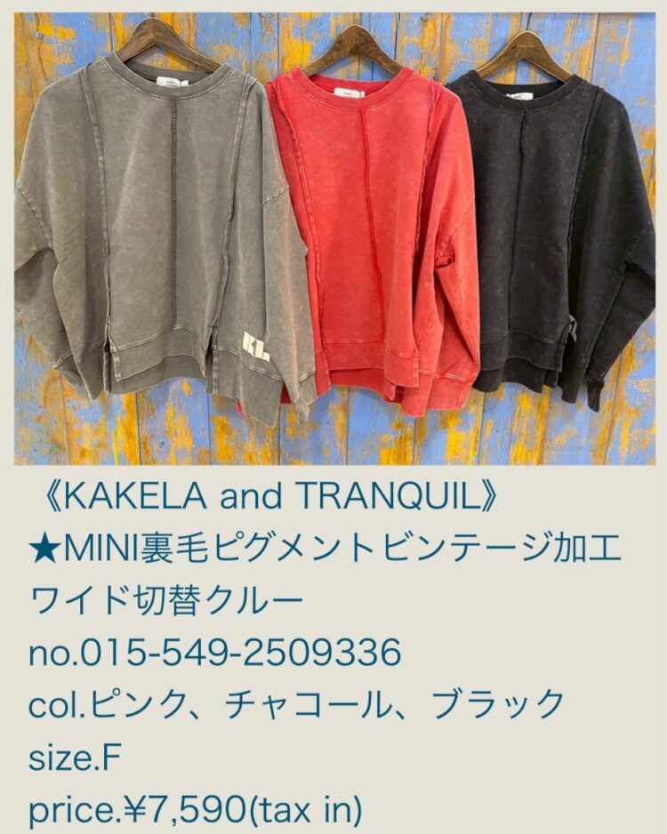 LINE_ALBUM_20251204_251204_25