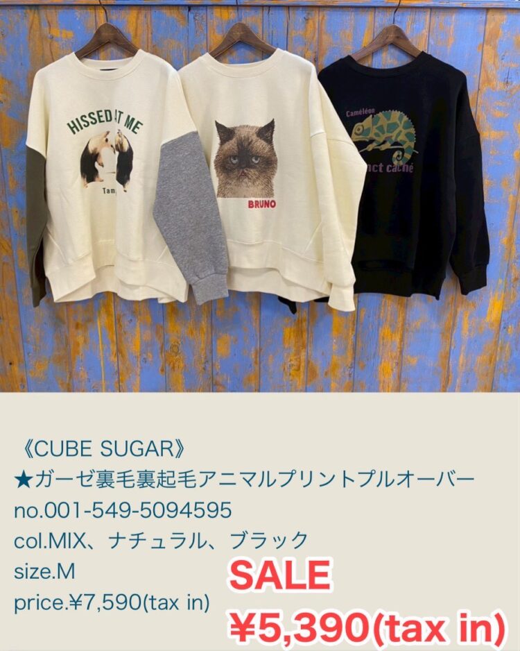 LINE_ALBUM_20251231 ブログ_251229_9