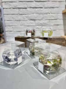 ピオニーブログ１０