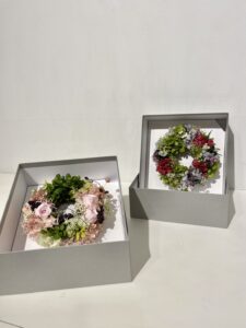 ピオニーブログ１１