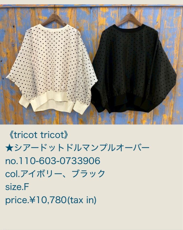 LINE_ALBUM_2026.01.31 ブログ_260129_1