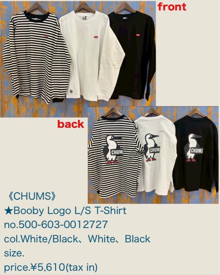 LINE_ALBUM_2026.01.31 ブログ_260129_22