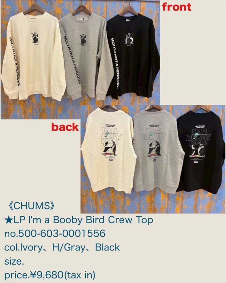 LINE_ALBUM_2026.01.31 ブログ_260129_23