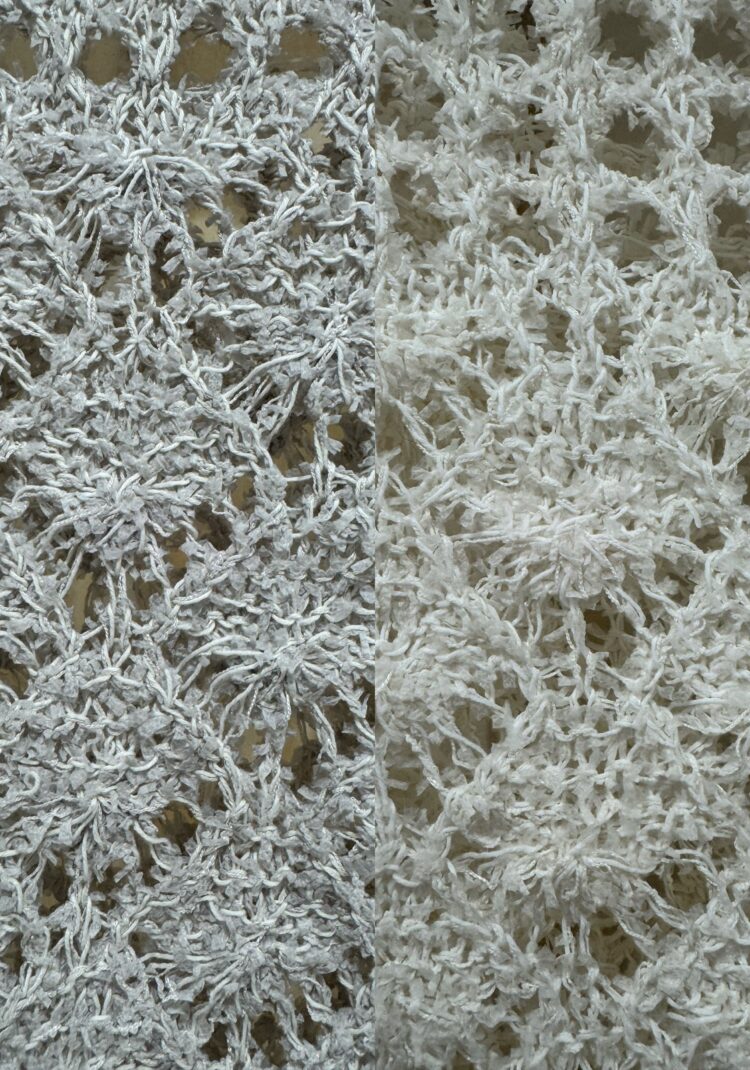 LINE_ALBUM_20260118_260118_5