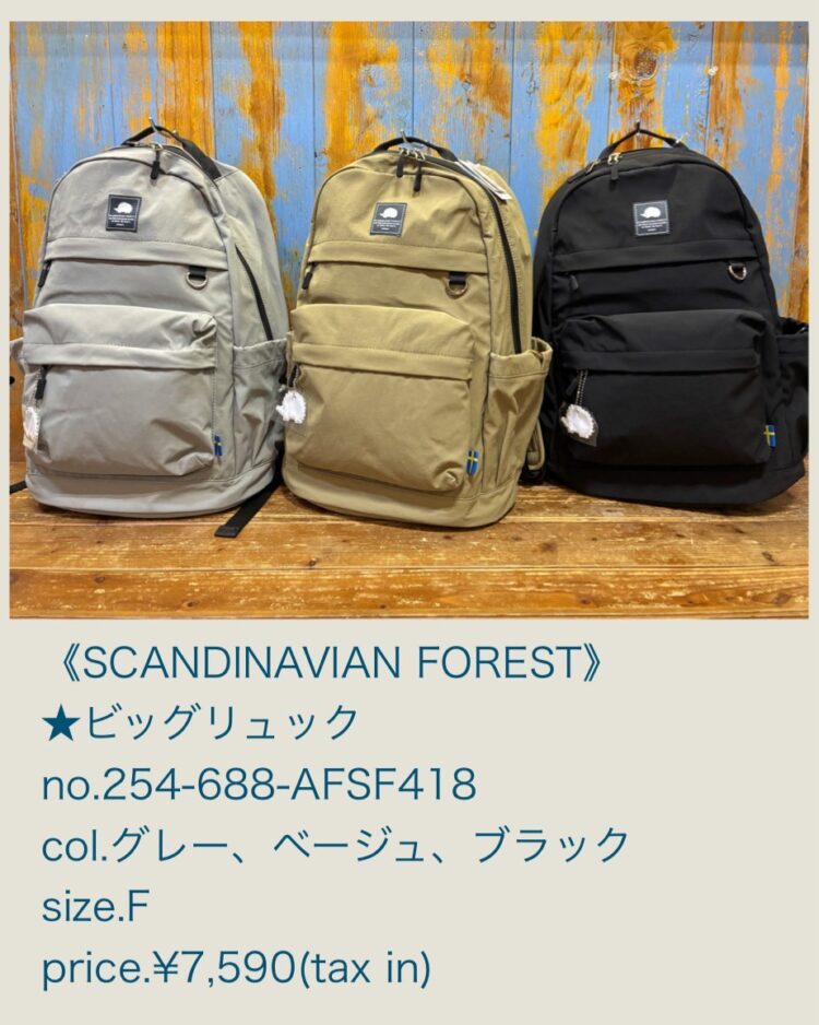 LINE_ALBUM_20260125_260125_72