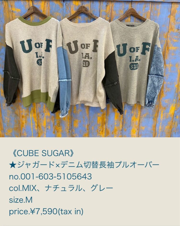 LINE_ALBUM_20260125_260125_9