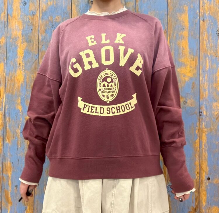 LINE_ALBUM_ブログ写真1月6日_260106_13