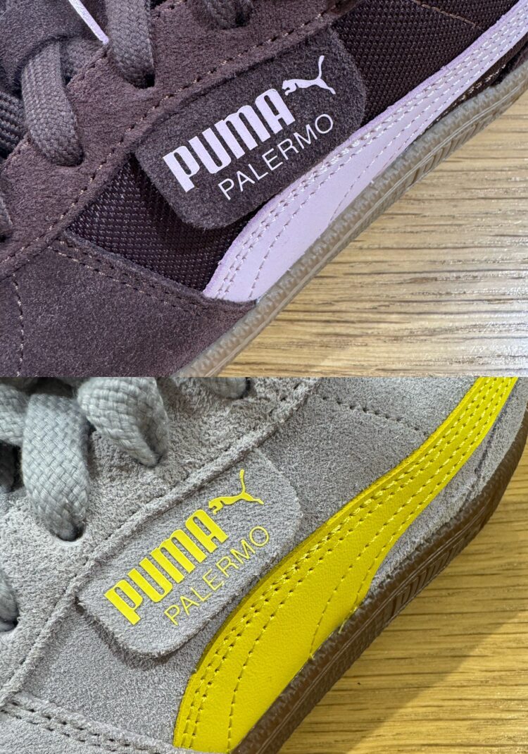 LINE_ALBUM_20260222_260222_4