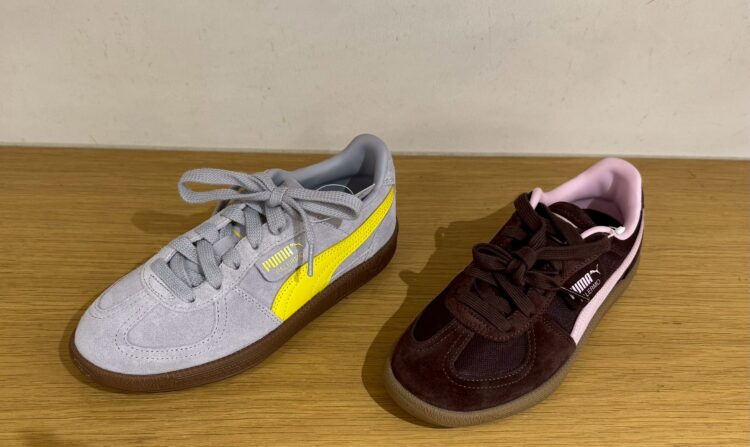 LINE_ALBUM_20260222_260222_8