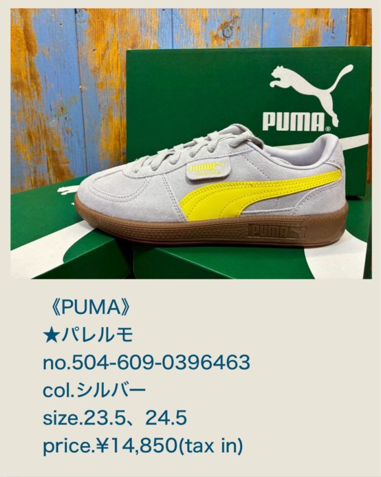 LINE_ALBUM_2026228ブログ記事画像_260227_6