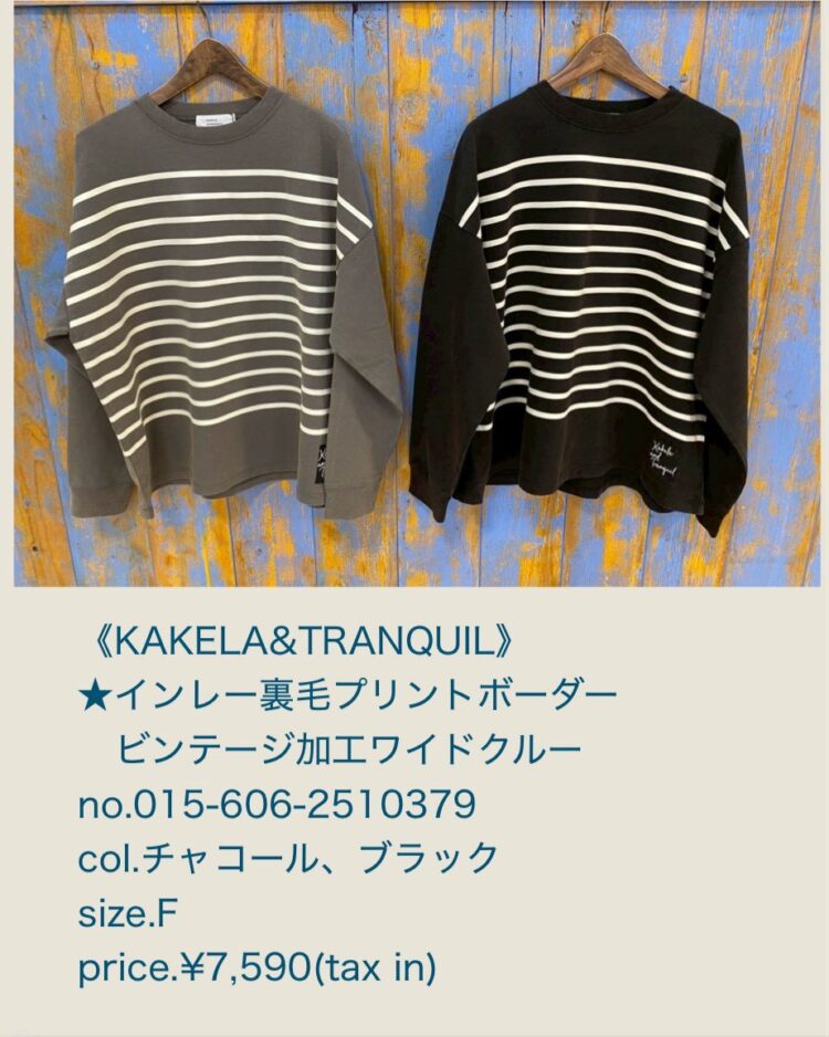 LINE_ALBUM_27ブログ記事_260206_15