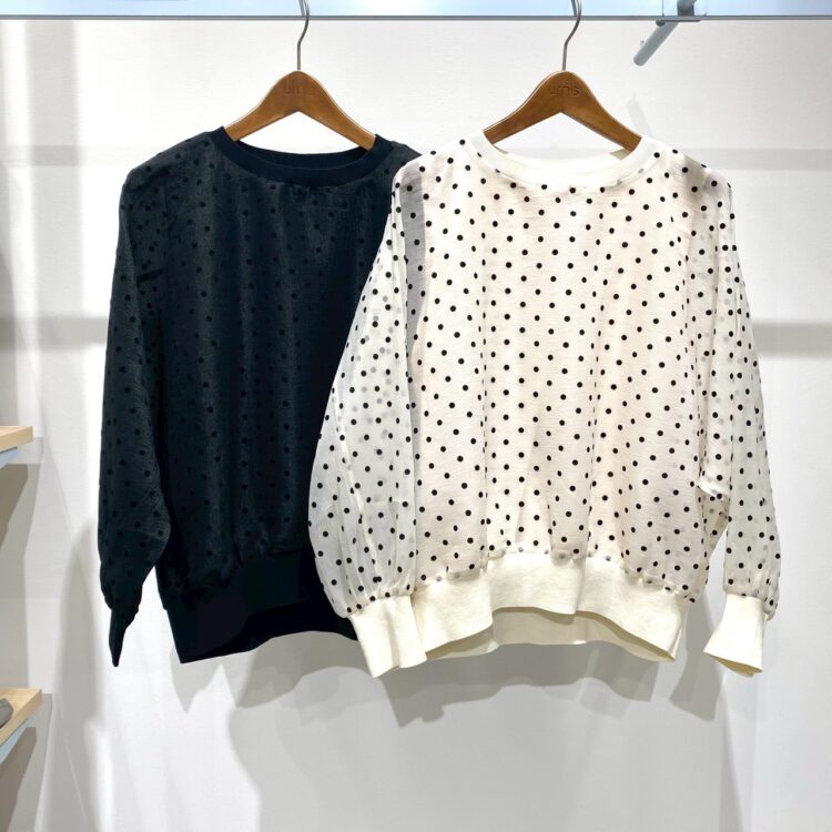 LINE_ALBUM_瀬戸川ブログ_260212_36