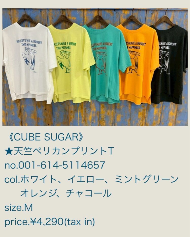 LINE_ALBUM_2026321 ブログ記事_260320_18