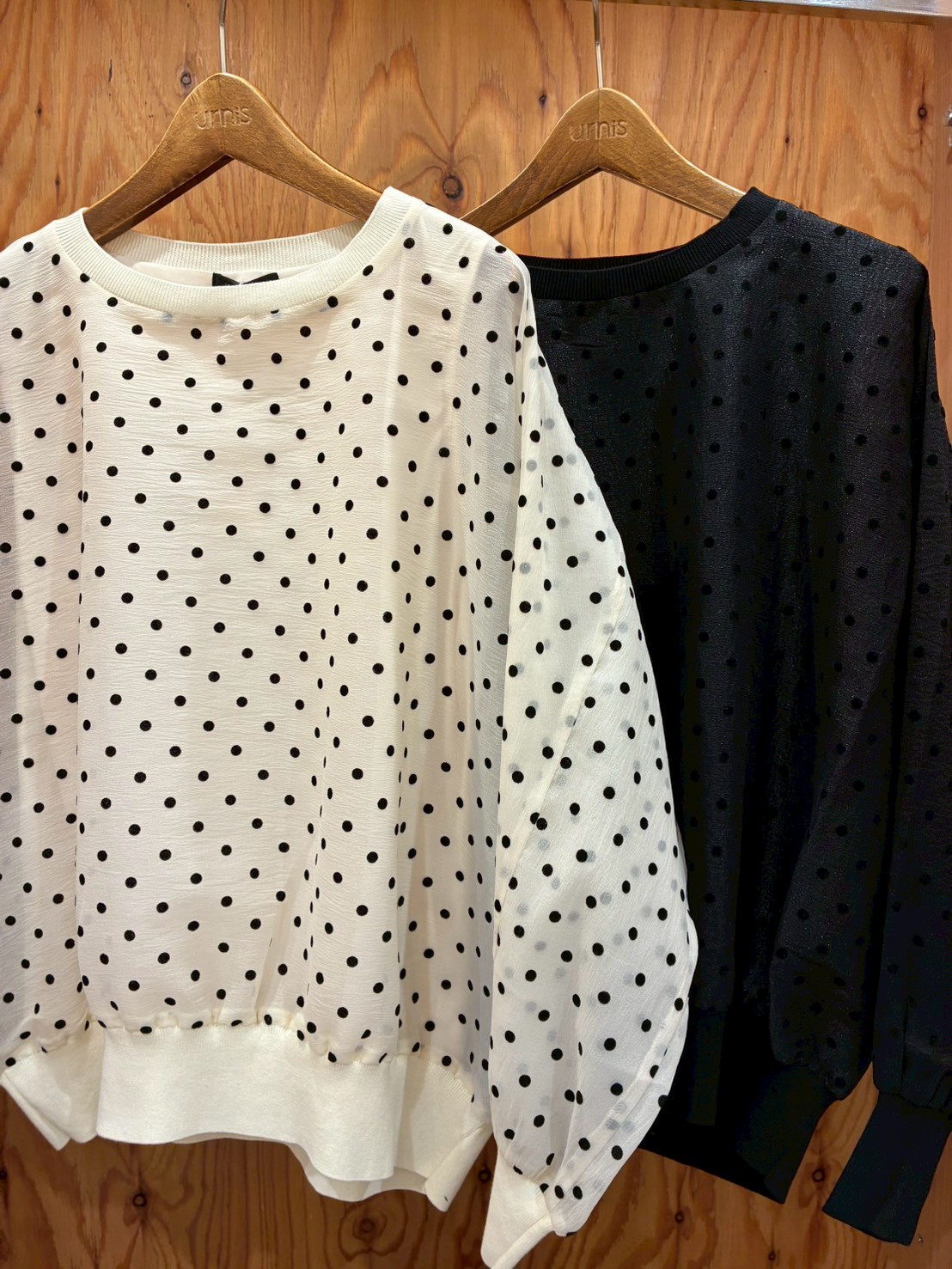 LINE_ALBUM_blog写真_260305_24