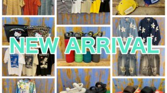 🏕今週の新作🏕