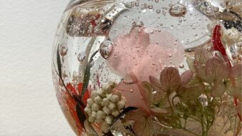 【peony ピオニー】POPUPスタート♪