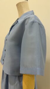 S__85098528